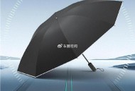 小米车主定制伞169元,小米雨伞为什么下架？