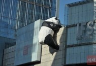 熊猫装置被指太鬼畜,熊猫装置艺术