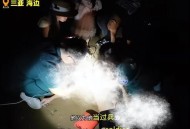 男子救人被卷入大海,女主被继妹和男友推下海里。被男主救了的小说？