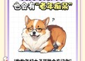 猫也会得痴呆症,不是每一只柴犬都有猫咪陪伴的，如何预防狗狗老年痴呆？