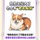 猫也会得痴呆症,不是每一只柴犬都有猫咪陪伴的，如何预防狗狗老年痴呆？