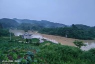 广西一村被淹半个月,农田被淹找村长不管怎么办？