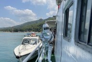 本次演习开局即开打,