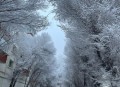乌鲁木齐特大暴雪,乌鲁木齐特大暴雪破纪录