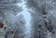 乌鲁木齐特大暴雪,乌鲁木齐特大暴雪破纪录