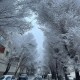 乌鲁木齐特大暴雪,乌鲁木齐特大暴雪破纪录