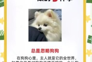 不文明养狗被投毒,不文明养狗被投毒犯法吗