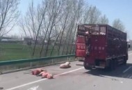 山西高速现持刀伤人,山西高速40多辆车相撞怎么赔偿？