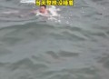 男子救人被卷入大海,男子救人被卷入大海 带血成功上岸