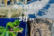 哈尔滨再现冰封鱼,外媒如何评价哈尔滨的冰封王座？