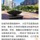 网传一小区建坟墓,如何看待河南一小区广场上新添了一座坟，居民不敢开窗这件事？