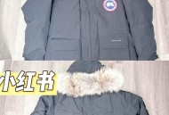 1件羽绒服需100只鸭,120克的鹅绒羽绒服相当于鸭绒多少克？