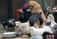 多只猫遭男子虐杀,如何看待男子虐杀流浪猫，三次折返残忍补刀的行为？