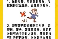 误蹦蛇窝还遇2条蛇,迁坟挖出五条蛇，怎么办？