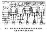 肿瘤细胞分裂全过程,肿瘤细胞分裂全过程图