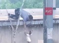 幼童掉入站台缝隙,南宁东站，一名4岁男童趁着母亲不注意，嬉闹时掉入站台缝隙处，怎么看待民警救男童？
