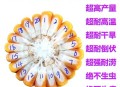 谎称包拿博士骗122万,禾博士122玉米种抗倒伏能力怎么样？
