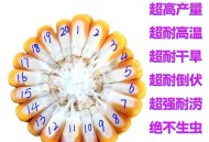 谎称包拿博士骗122万,禾博士122玉米种抗倒伏能力怎么样？