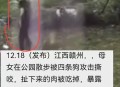 牵绳遛狗时被殴打,杭州女子为护子被遛狗不牵绳男子殴打,打人者哪里来的底气敢打人? 牵绳遛狗时被殴打,杭州女子为护子被遛狗不牵绳男子殴打,打人者哪里来的底气敢打人?