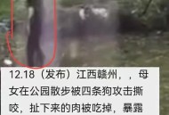 牵绳遛狗时被殴打,杭州女子为护子被遛狗不牵绳男子殴打,打人者哪里来的底气敢打人? 牵绳遛狗时被殴打,杭州女子为护子被遛狗不牵绳男子殴打,打人者哪里来的底气敢打人?