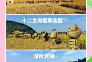 网红稻田遭踩踏,网红稻田在哪里