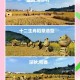 网红稻田遭踩踏,网红稻田在哪里
