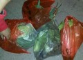 女子半夜偷菜赔2千,女子半夜偷菜赔2千块钱