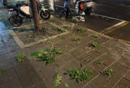 北京山区有小冰雹,北京山区有小冰雹吗