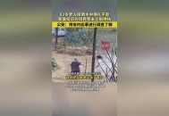 村民修路遭老人破坏,80多岁的老人村里边修路摔伤怎么赔付我？