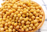 没买过美国一粒大豆,某企业欲从美国购买50000吨大豆，试问应选择何种运输方式为宜？