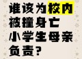 坠亡者母亲质疑学校,坠亡者母亲质疑学校怎么办