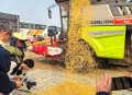 河南玉米收获季遇雨,河南玉米收获季遇雨 大学生被召回家
