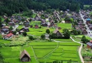 环保案赔了50亿,谁能提供一些为了经济效益而不惜破坏环境的实例？是在政治、政策方面的？