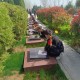 网传一小区建坟墓,上海那些小区以前是坟地？