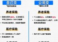 抢着为94岁母亲养老,94年参加工作2004年下岗的国企职工，因各种原因没有交社保，现在怎么办？