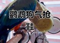 带狗进店咬死鹦鹉,