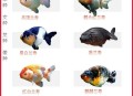 村民给鱼过55岁生日,55升水可以养几条金鱼? 村民给鱼过55岁生日,55升水可以养几条金鱼?