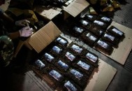 缅北刘家强迫人吸毒,缅甸刘家是指谁