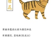 古人养猫要先签合同,古人养猫要先签合同吗