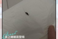 袋装面包现活蟑螂,吃了被蟑螂爬过的面包会怎样？