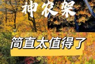 景区推出寒冰武器库,十一准备去神农架，应该怎么准备啊？