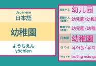 韩国总统谈汉字教育,韩国倡议中日韩统一汉字你怎么看？