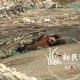 11岁男童通风井坠亡,11岁男童通风井坠亡怎么办