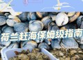 台风后遍布生蚝蛤蜊,为什么台风过后生蚝会瘦
