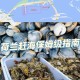 台风后遍布生蚝蛤蜊,为什么台风过后生蚝会瘦