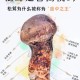 菌中之王每公斤18,菌中之王是