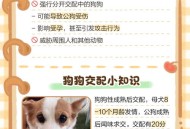 小狗嘴被扎带捆一月,为什么狗贩子会把幼犬用胶带粘住，这样真的会把耳朵立起来吗？