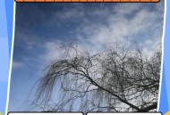 22个城市创气温新低,今早杭州最低气温创下2月以来新低!但看到它们来了,你觉得春天还会远吗? 22个城市创气温新低,今早杭州最低气温创下2月以来新低!但看到它们来了,你觉得春天还会远吗?