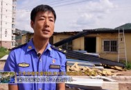 站路边被老鼠钻裤子,彩钢房保温夹层钻进老鼠怎么办？