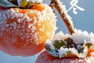 罕见“九月早立冬”,2021年九月二十五立冬了没？